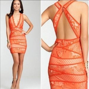 bebé lace dress
